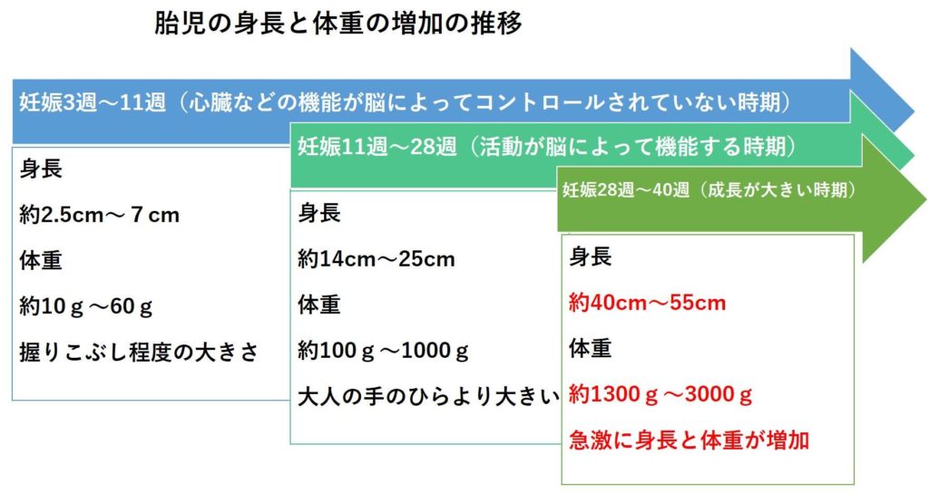 妊娠中の発達は赤ちゃんの障がいに影響する その理由とは Tsunagu