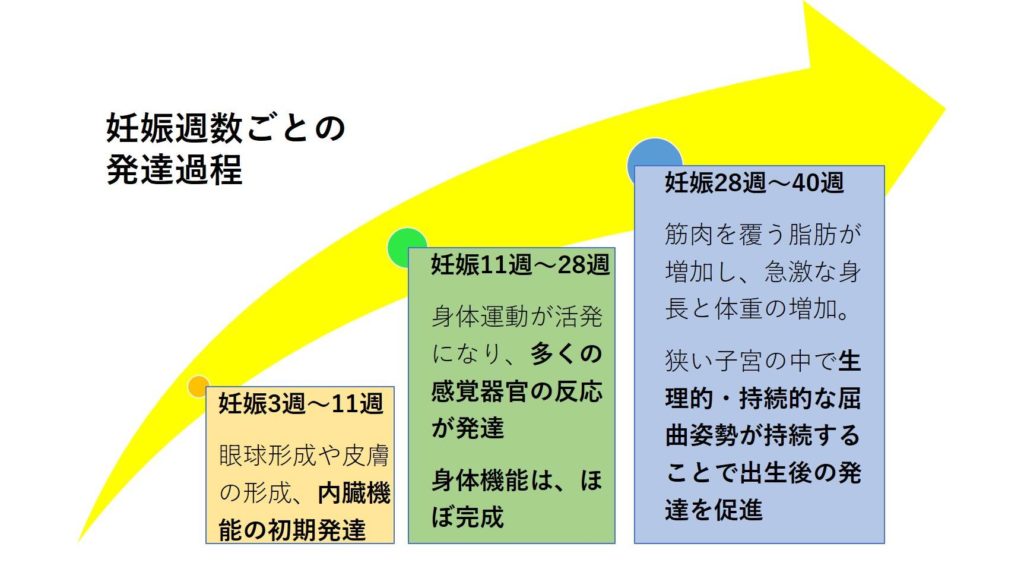 妊娠中の発達は赤ちゃんの障がいに影響する その理由とは Tsunagu